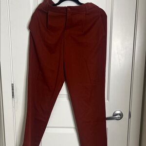 Zara Women’s Rust Pants